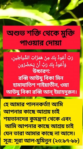 85K views · 1.2K reactions | The history of #photography began with...