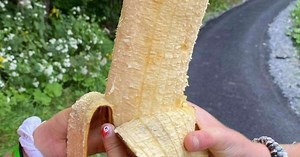 Conheça a banana gigante de meio quilo que viralizou no Twitter
