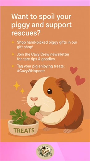 5.9K views · 135 reactions | The Ultimate Guide to Guinea Pig Treats:...