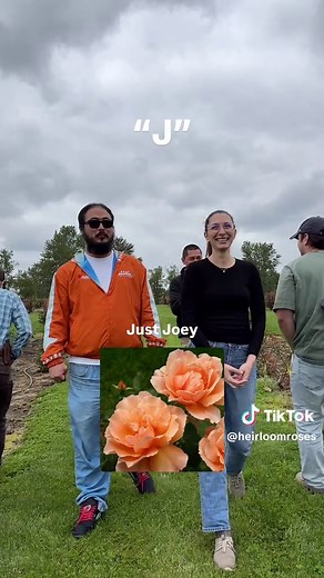 Fastest Rose Namer Challenge!