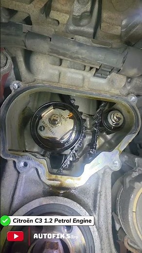 Citroën C3 1.2 Petrol Engine #autorepair #carrestorationproject #automobile .wet belt broken