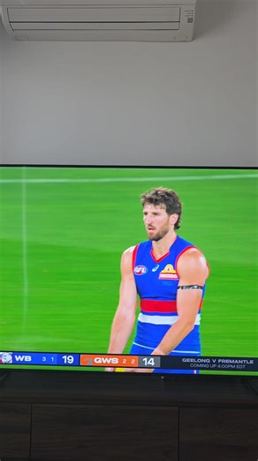 Bulldogs vs GWS: AFL Clash Highlights