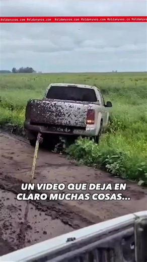 Toyota vs Volkswagen: ¿Cuál es mejor?