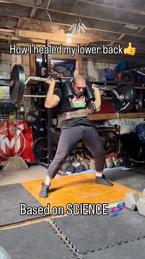 My back has NEVER felt better 👍 #lowerback #rehab #training #strengthtraining #gym | mikeymaybeme