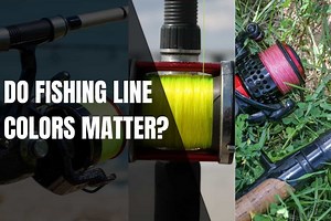 Does Your Fishing Line Color Matter? - Begin To Fish