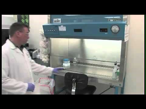 Cell Culture Basics from GIBCO®