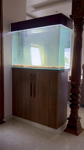Monster tank setup #fishtank #installation #aquarium #viral #youtubeshorts