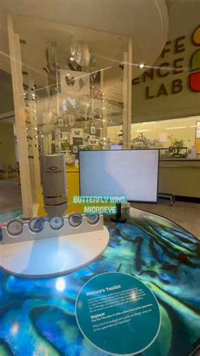 4.2K views · 22 reactions | So many hidden gems all around the Science Center!  | Saint Louis Science Center | Facebook