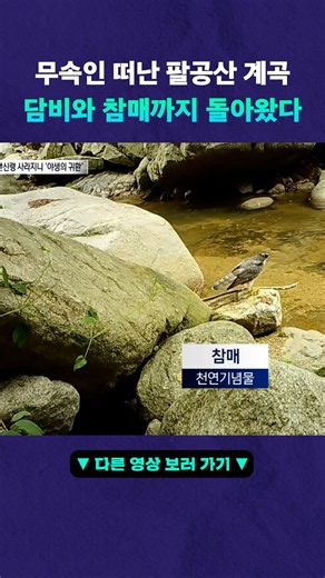 귀환한 멸종위기 야생동물 #뉴픽