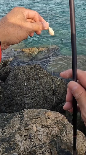 RIG OR SET UP FOR RABBIT FISH #itsmorefuninfishing #kftvtoconnectandentertain #anglerakosaanmandakongmundo | KINGFISHER'S TV