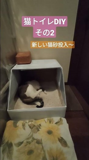 手作り猫トイレ可愛い猫保護猫ダンボール百均リメイクシートガラス用貼るシートゴロゴロ楽しいDIY大きめ猫トイレ