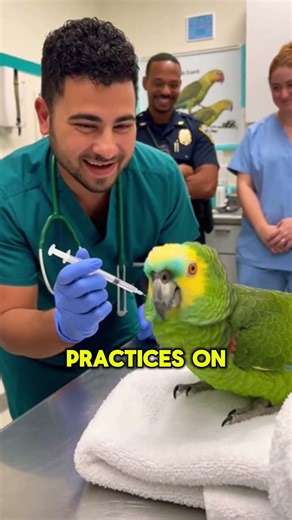 Vet Gives Injection, Parrot Calls the Police #shorts #funnyshorts