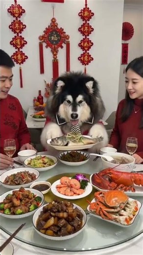 GUI Family's New Year's Eve Gathering: A Heartwarming Aunt's Dinner Event LittleCloud