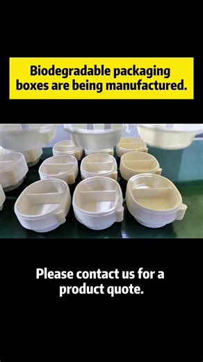 We are a packing box manufacturer. Wholesaling disposable biodegradable eco-friendly boxes. Click to follow for cooperation. #Foodpackaging #biodegradable #packaging #tableware #factory