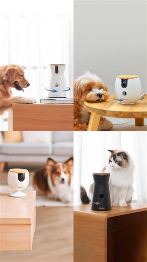 9.7K views |  Paws what you're doing—Black Friday Early Access is here! Save up to 60% on the #1 AI-powered pet camera with instant alerts, pet tracking, treat tossing, and MUCH more. Get our best Black Friday deal when you bundle Furbo cameras. More cameras + more coverage = bigger savings ✨ | Furbo Pet Camera | Facebook