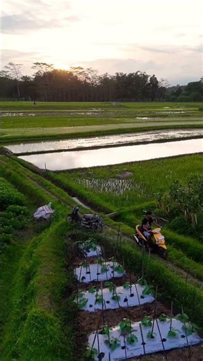 Indahnya hidup di desa😍 #explore #mountainswiev #pemandanganpegunungan #travel