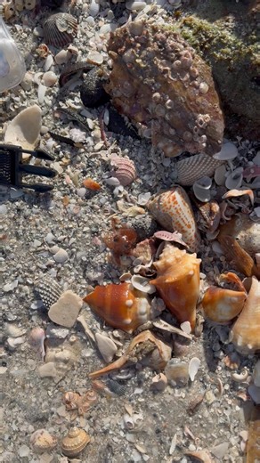 Alesandra Christine on Reels | Facebook