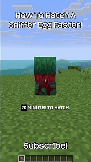 How To Make A Sniffer Egg Hatch Faster In Minecraft?!