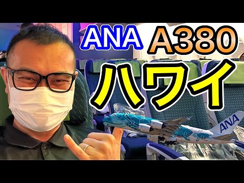世界最大旅客機の実力は ANA FLYING HONU(フライングホヌ)カウチシート A380 復活ハワイ便搭乗レビュー (成田→ホノルル)
