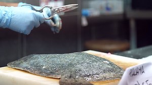 Free stock video - Fishmonger preparing fish