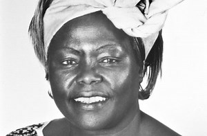 Nobel Peace Prize 2004