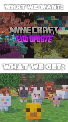 What we want VS what we get Minecraft edition 🤦