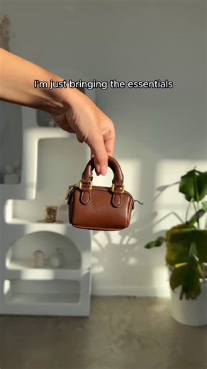 My emotional support bag 👜🤎 | Magnum