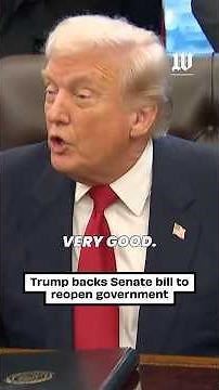 Trump Backs Senate Bill to Reopen the Government