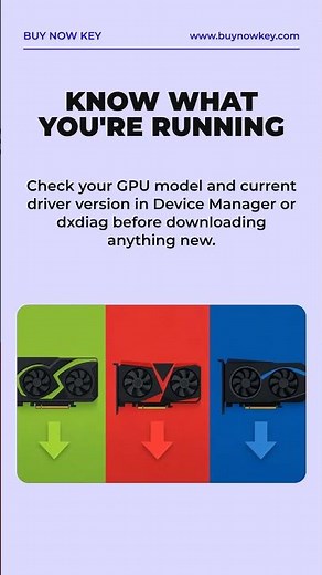 How to Update Graphics Card Driver on Windows 11
