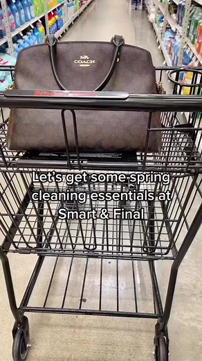 1.8K views · 13 reactions | @lifewithdaniielle is getting deep into her spring-cleaning game, with products from Smart & Final! 朗 Make your place spotless too in just One Click & That’s It. ✨ bit.ly/3owsypY | Smart & Final | Facebook