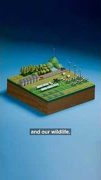 England’s first Land Use Framework 🌳 #growth #nature #food #homes