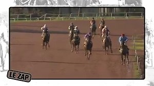 [LE ZAP DE DÉCEMBRE] 😂 En intégralité par ici ► equid.la/ZapDéc17 | Equidia