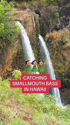 Ceramic lure make Mark White shows Mike D how to catch smallmouth bass at Wailua Falls in Kauaia, Hawaii on a hand made ceramic popping lure. #bassfishing #fishingtips #smallmouthbass #fishingadventure #hawaiifishing #lunkerville @MarkWhiteLures | Lunkerville
