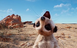 UE4 IPhone实现猫鼬先生面部捕捉