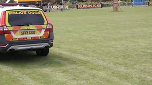 48K views · 717 reactions | POLICE DOGS IN ACTION... As we've said,...