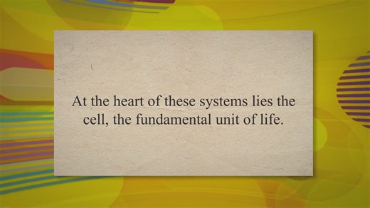 Cell Structure and Function in the Regulatory System