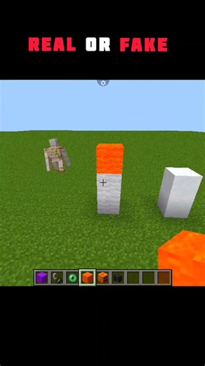 Minecraft real or fake 🧐 #minecraft #gaming