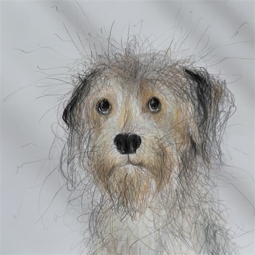 1K views | Catherine Rayner on Reels | Facebook