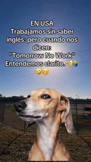 Trabajo en USA sin saber inglés