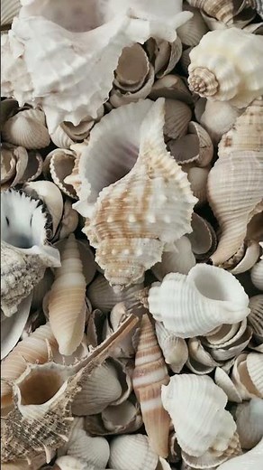 Duram | Bring Habitat Home with Fire Finch | 79 | Try a Colour Sample