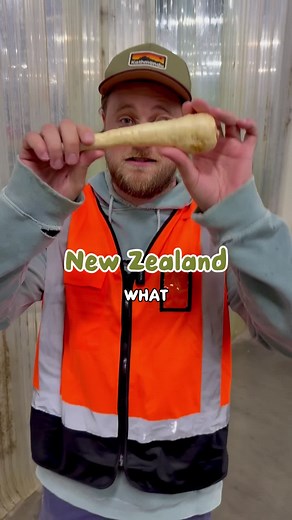 Rescuing New Zealand Produce: The Wonky Box Initiative