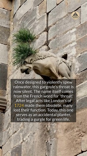 95K views · 622 reactions | From gurgling throats to silent stone planters, the history of the gargoyle is one of forgotten function. #history #medieval #arthistory | Historical Marvels | Facebook