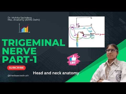 Trigeminal nerve anatomy part 1 | Trigeminal nerve