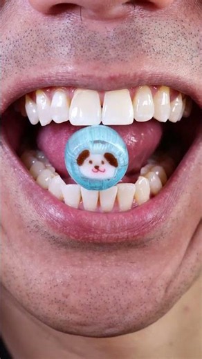 Best ASMR | 🐶 Hard Candy