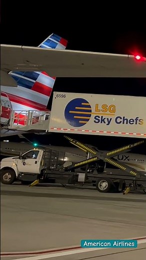 LSG Sky Chef Airline Catering | American Airlines