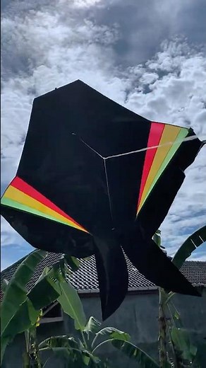 How to make a gradient patterned cotek blolong kite #kite #cotek #diy