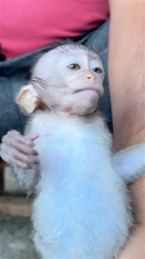 "Baby Mimi’s Adorable Morning Routine – Diaper Change and Hair Cleaning!"