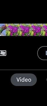 How to mute the audio in a video using Google Photos on an Android phone