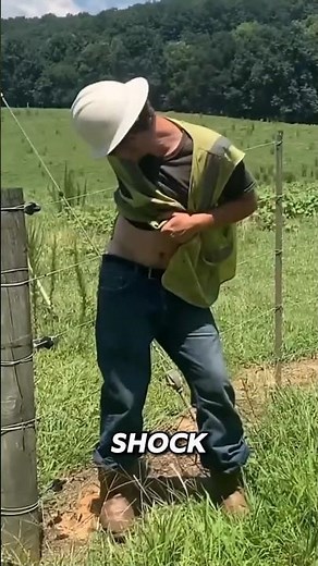 How Electric Fences Really Work! ⚡