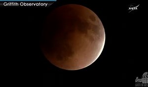 2.4K views · 17 reactions | DID YOU SEE IT? The moon put on a rare...